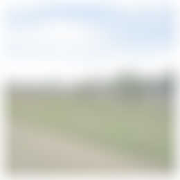 Foto #13 Appartement Veerpolderstraat Arnhem