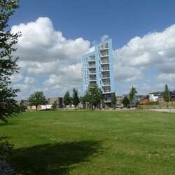 A rental house advertisment