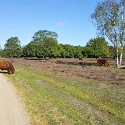 Foto #48 Huurwoning Poolsterstraat Hilversum