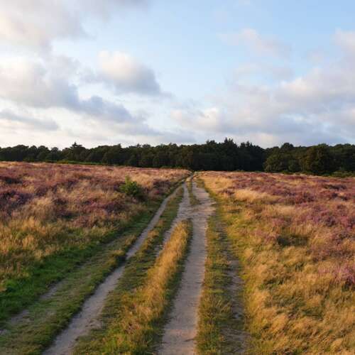 Foto #47 Huurwoning Poolsterstraat Hilversum