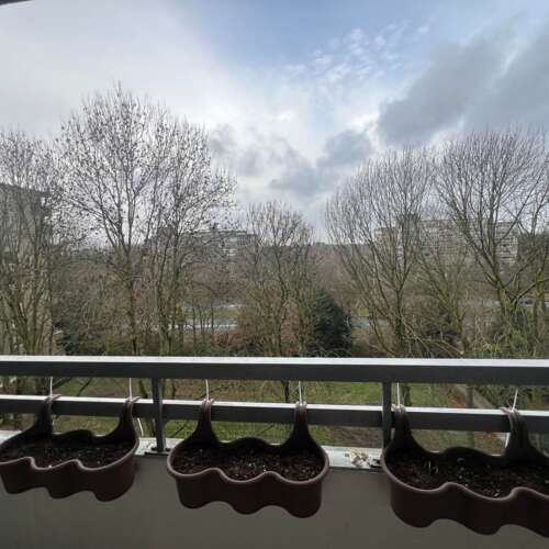 Foto #12 Appartement Venuslaan Eindhoven