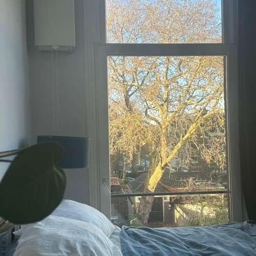 Foto #27 Appartement Koninginneweg Amsterdam