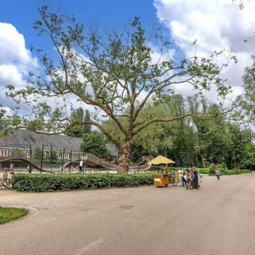 Foto #17 Appartement Pretoriusstraat Amsterdam