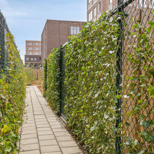 Foto #16 Huurwoning Oostende Helmond