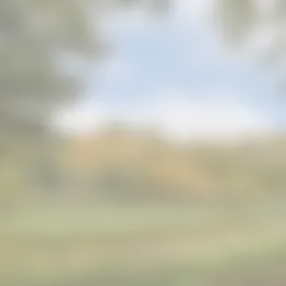 Foto #24 Appartement Ferguutstraat Amsterdam