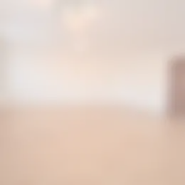 Foto #6 Appartement Dorpsstraat Zwaag