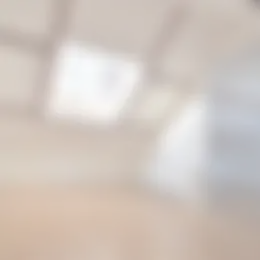 Foto #21 Appartement Dorpsstraat Zwaag