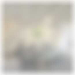 Foto #2 Appartement Torenstraat Uithuizermeeden