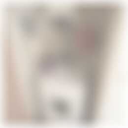 Foto #5 Appartement Torenstraat Uithuizermeeden