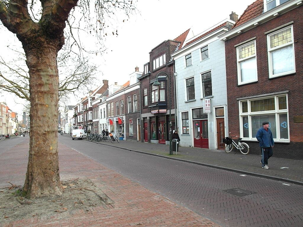 Delft Nieuwe Langendijk