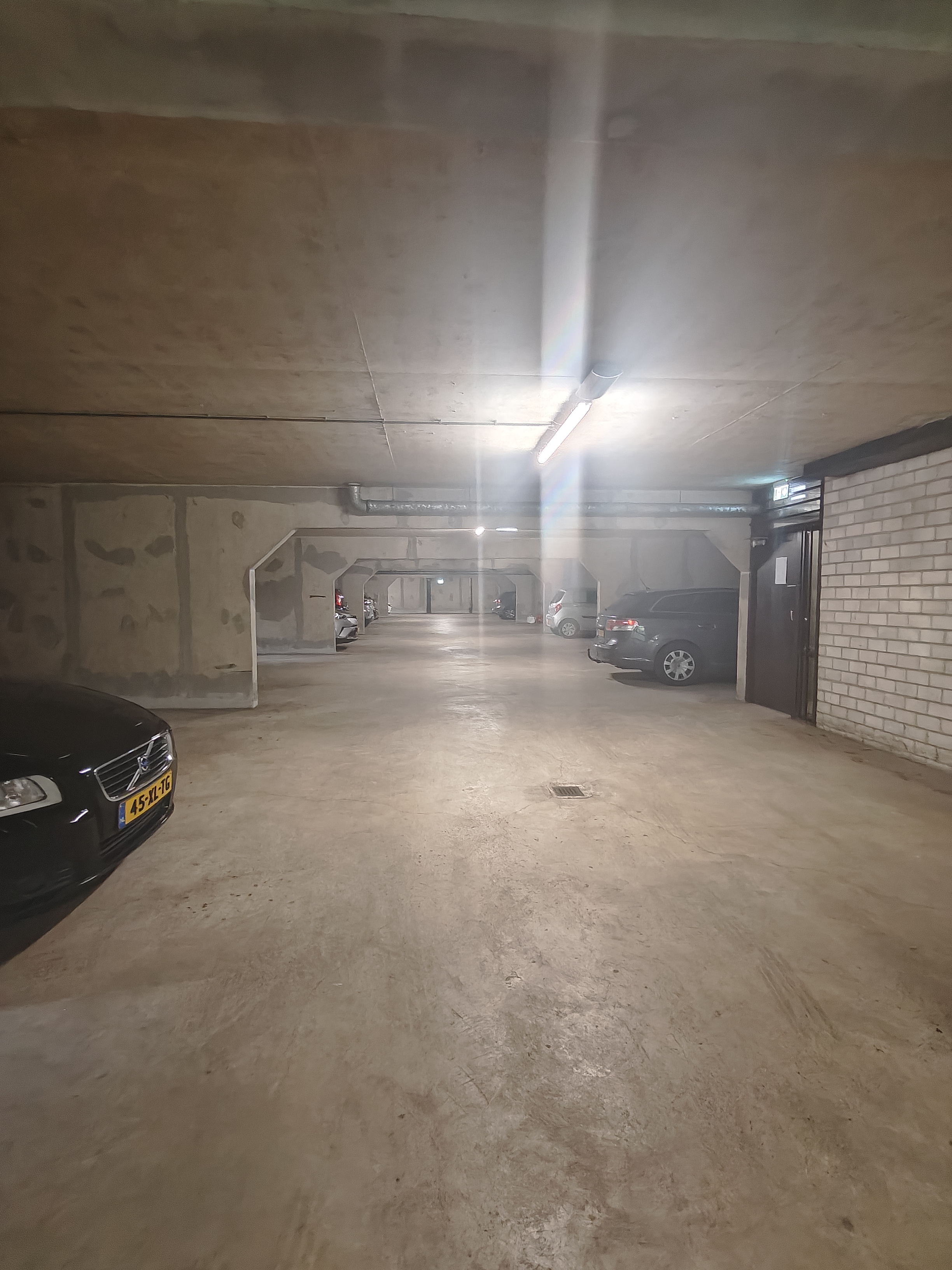 bg