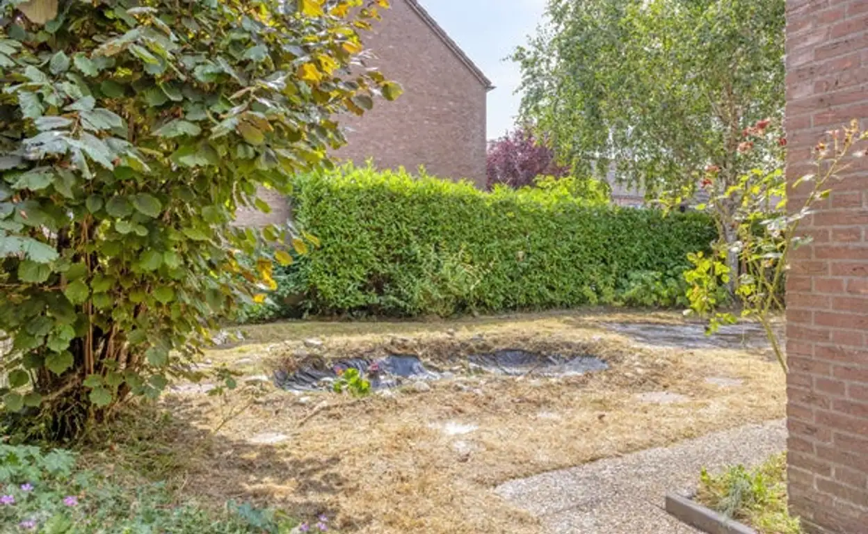 Foto #27 Huurwoning Martinus Nijhofflaan Kloetinge