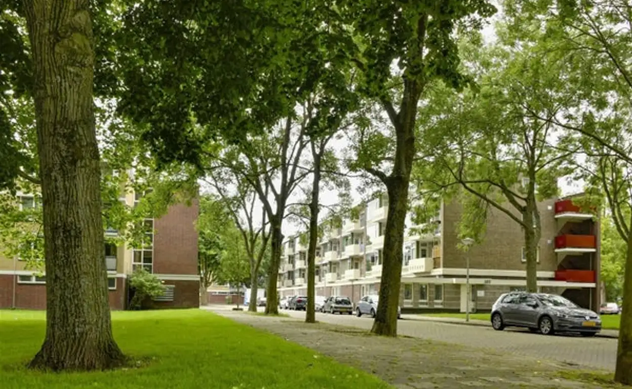 Foto #8 Appartement Dikninge Amsterdam