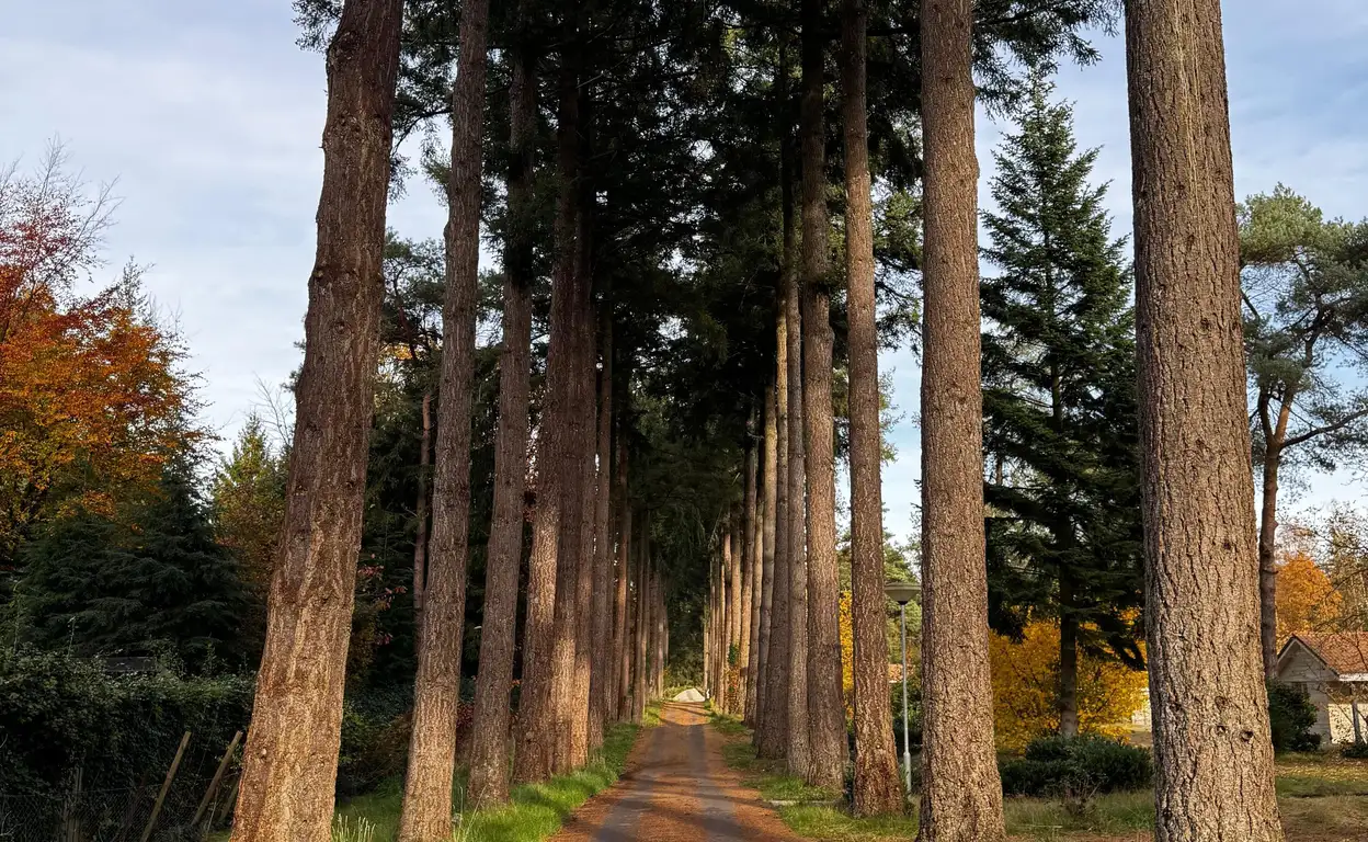Foto #13 Huurwoning Hammerweg Ommen