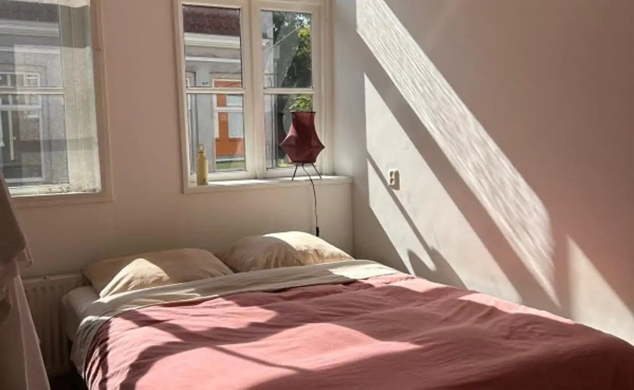 Foto #7 Appartement Diezerpoortenplas Zwolle