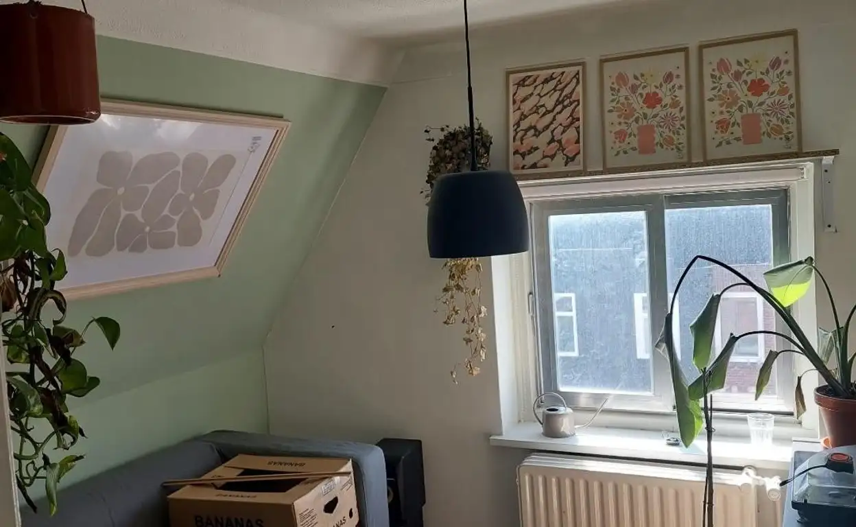 Foto #5 Kamer Prunusstraat Tilburg