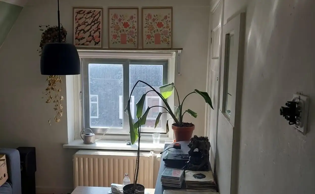 Foto #4 Kamer Prunusstraat Tilburg