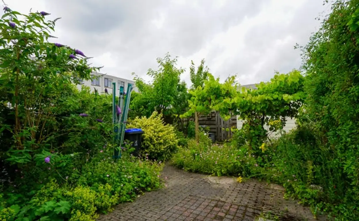 Foto #7 Huurwoning Van der Vlugtstraat Groningen