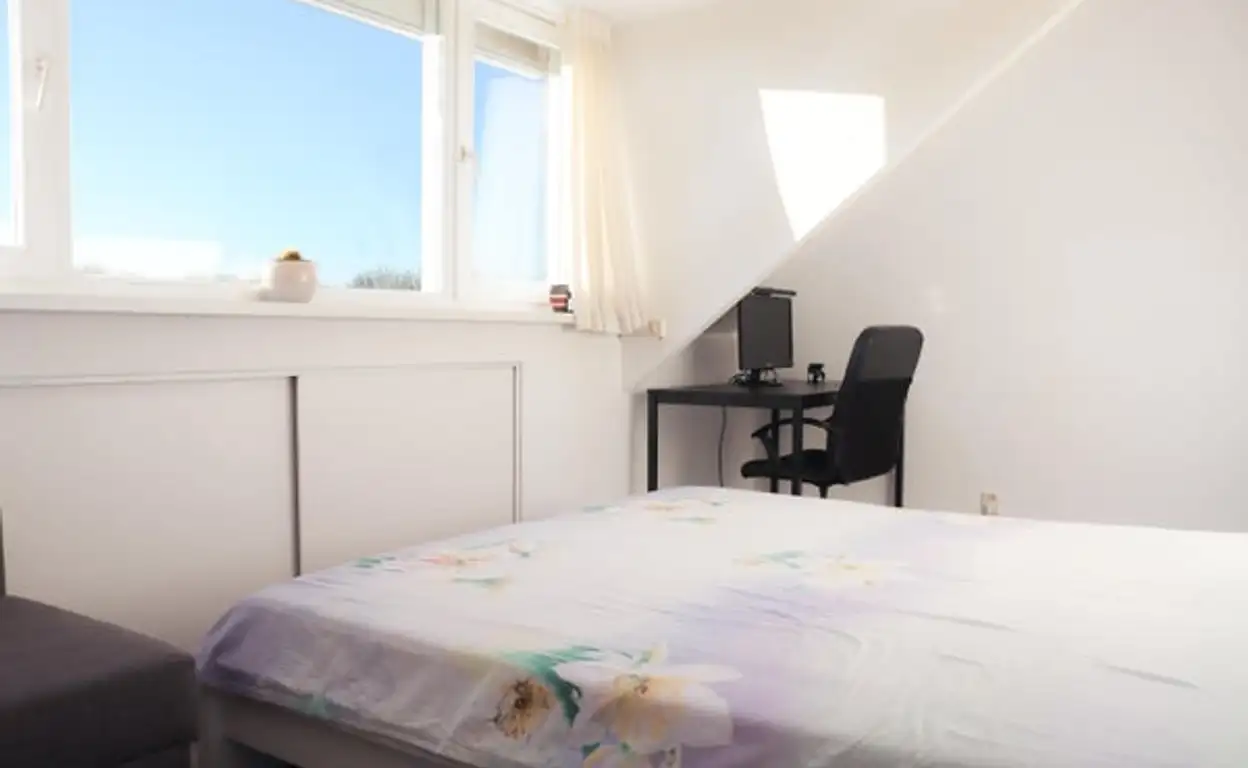 Foto #22 Huurwoning Gelaarsde Kat Eindhoven