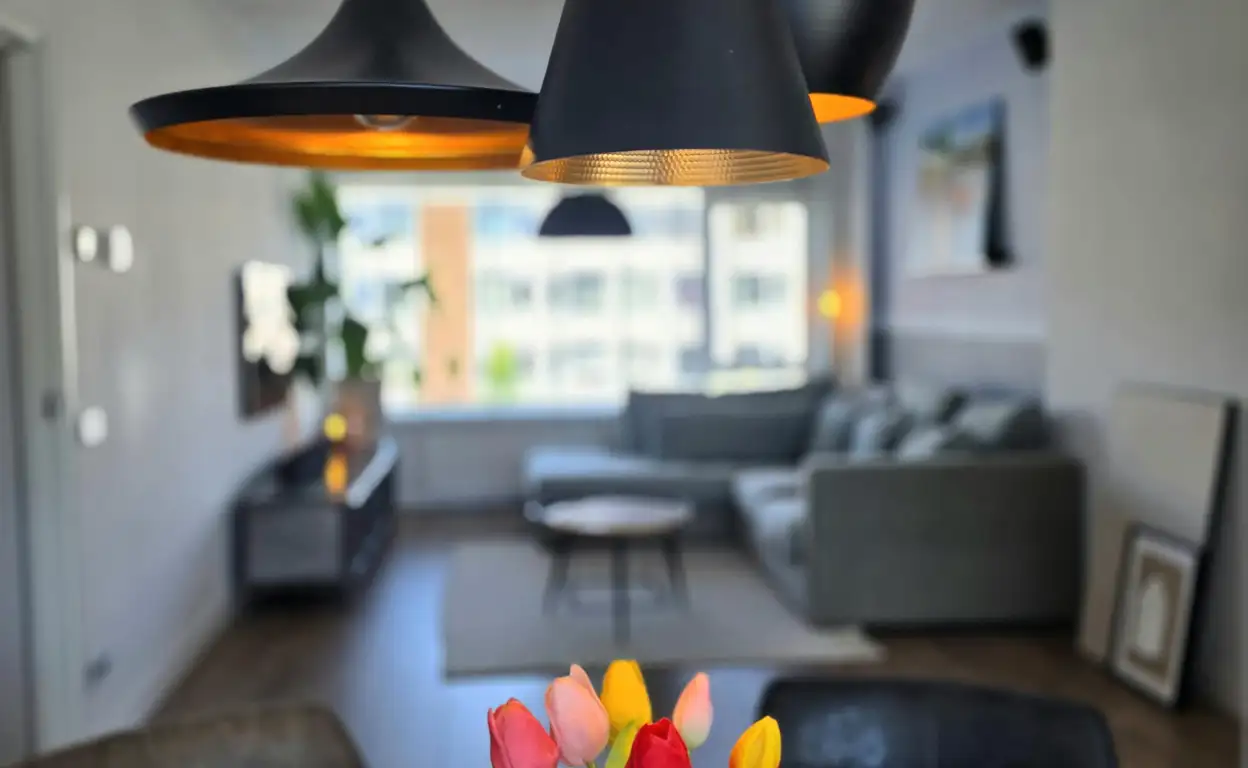 Foto #7 Appartement Monnetlaan Utrecht