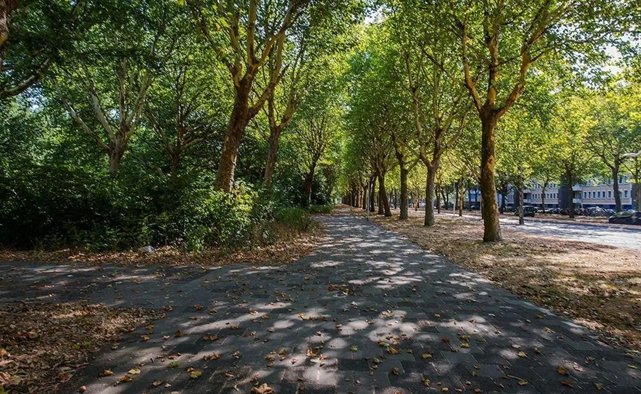 Foto #12 Appartement Van Nijenrodeweg Amsterdam