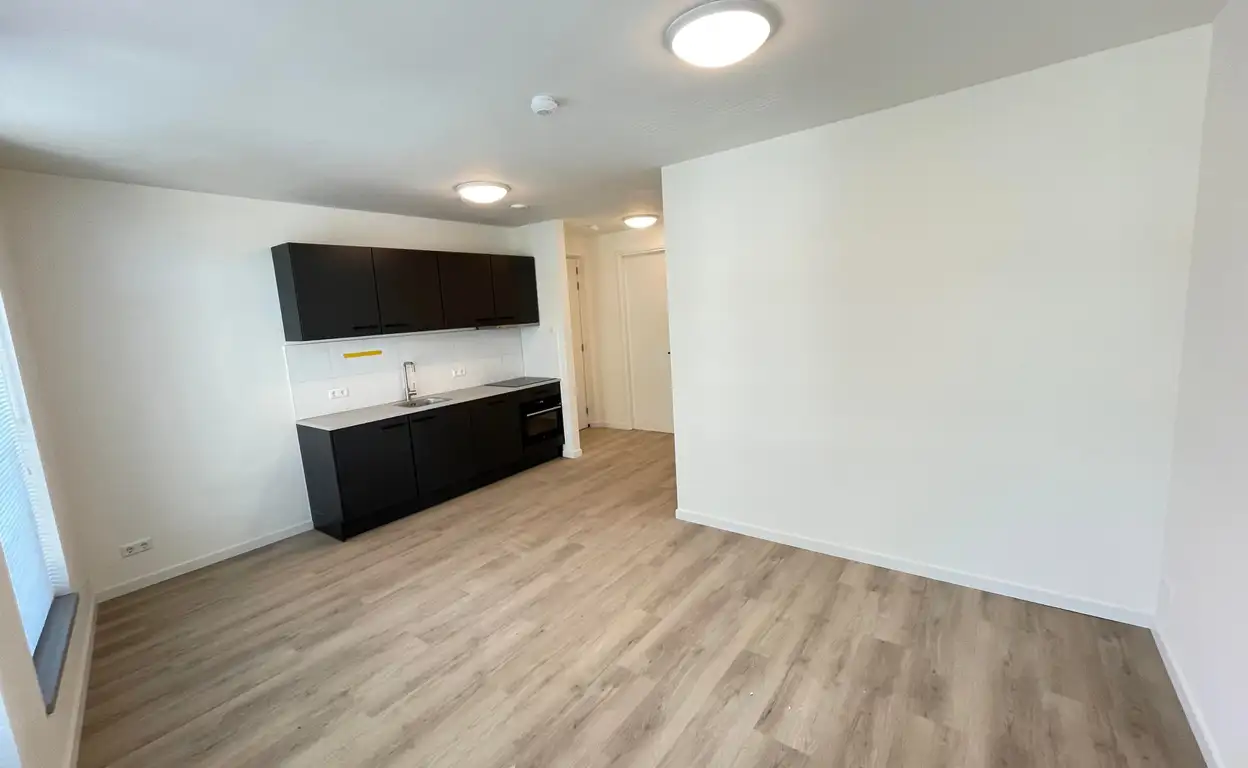 Foto #2 Appartement Jansweg Haarlem