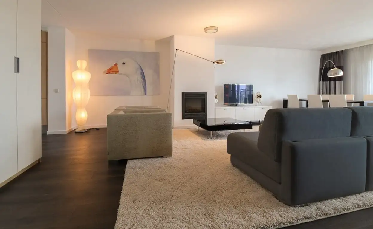 Foto #1 Appartement Pieter de Hoochstraat Amsterdam
