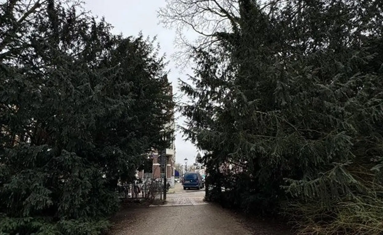 Foto #21 Appartement Van Eeghenlaan Amsterdam