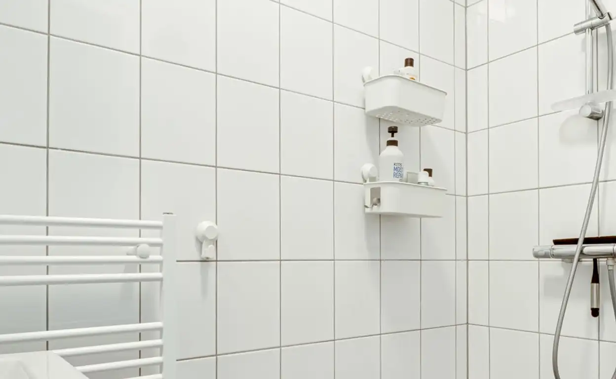 Foto #9 Appartement Molenweg Zwolle