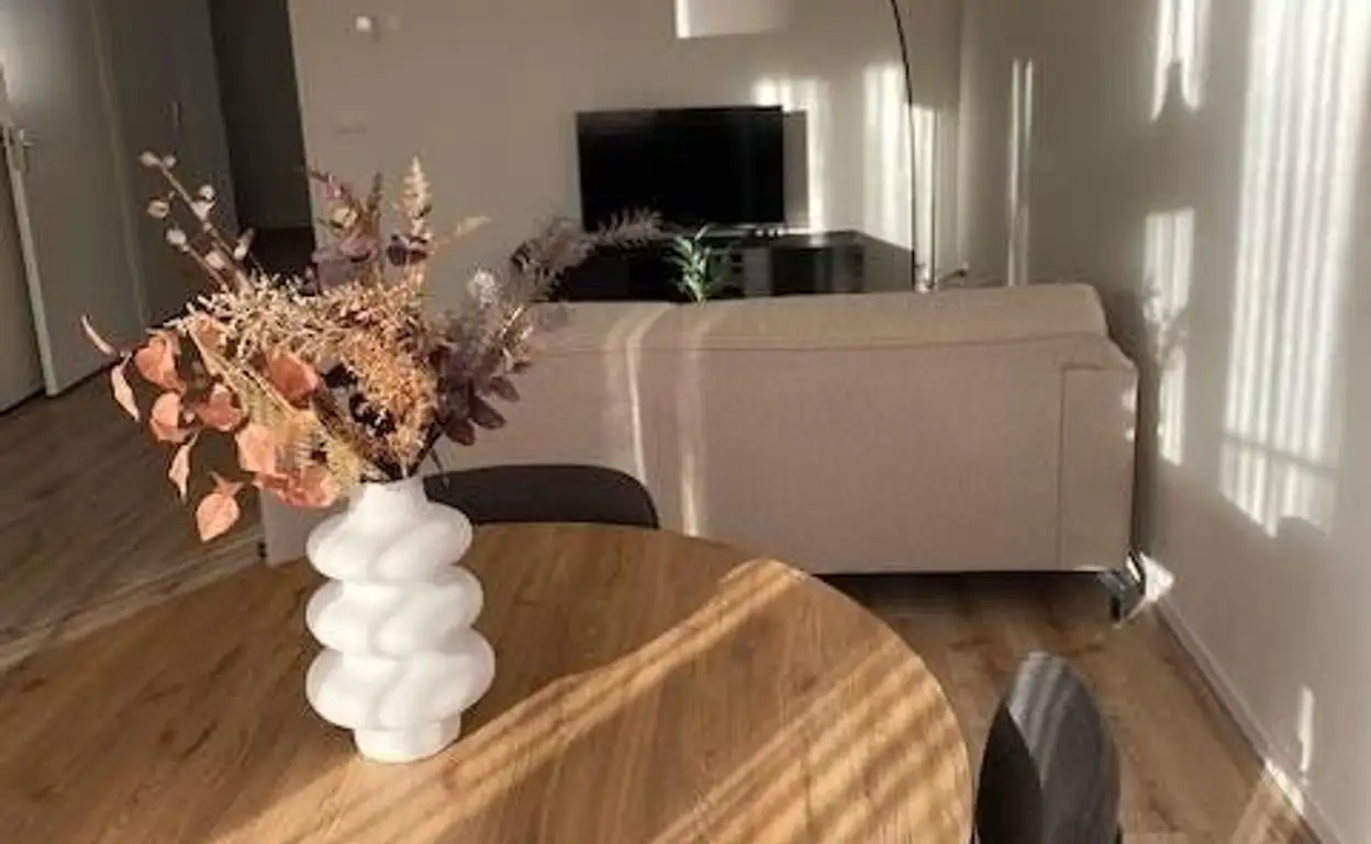 Foto #0 Appartement Voltastraat Maastricht