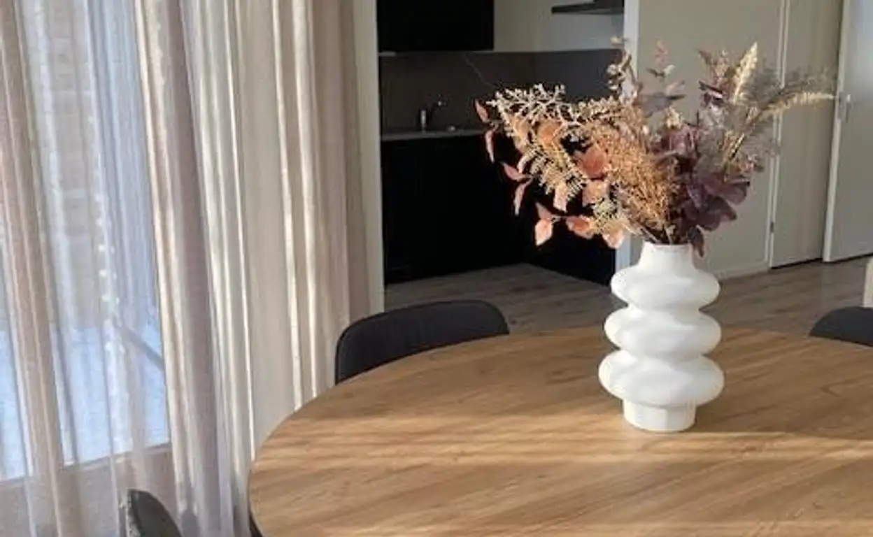 Foto #11 Appartement Voltastraat Maastricht