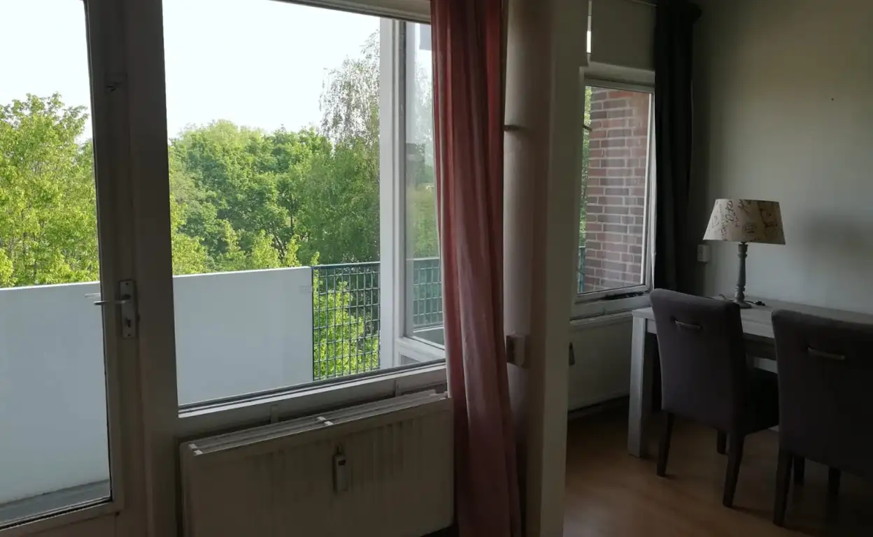 Foto #0 Kamer Professor Cobbenhagenlaan Tilburg