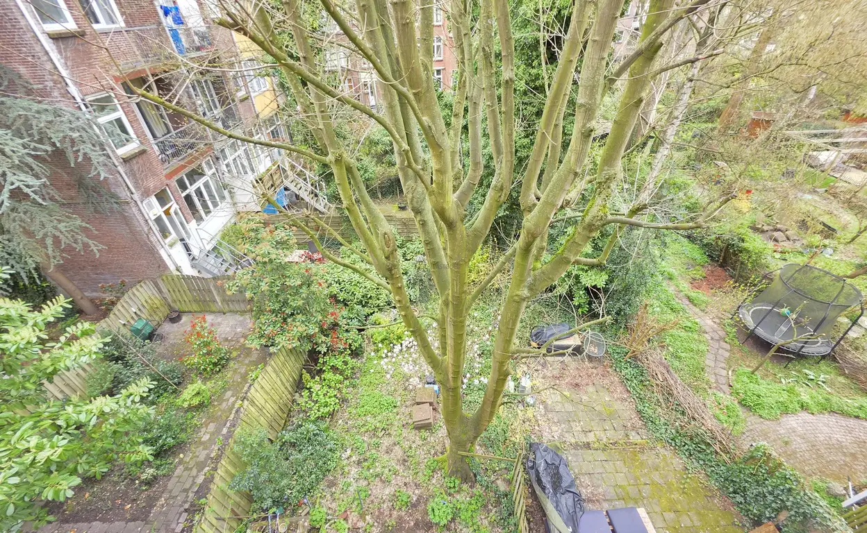 Foto #20 Appartement Beukelsweg Rotterdam