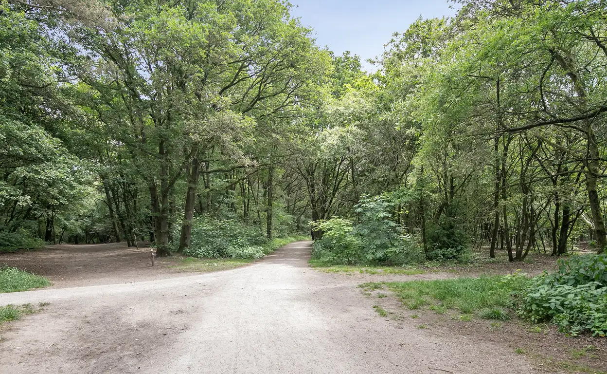Foto #37 Huurwoning Orionlaan Hilversum