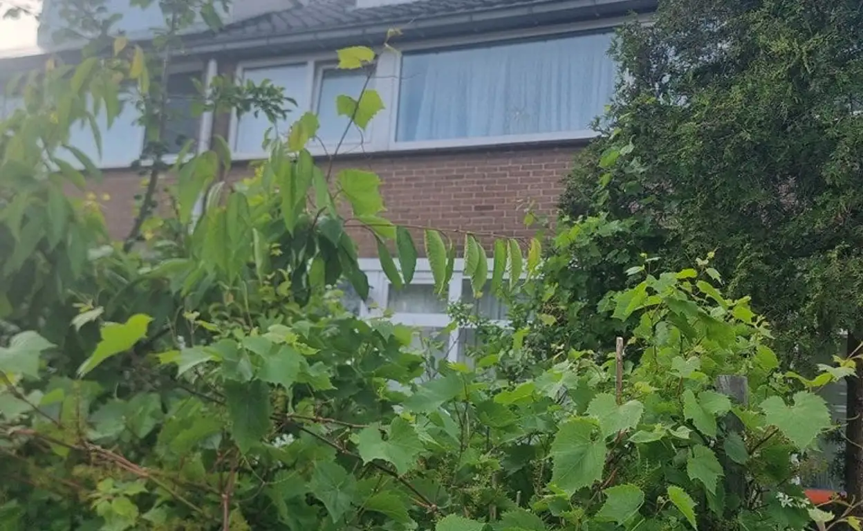 Foto #3 Kamer Van Deventerstraat Haarlem