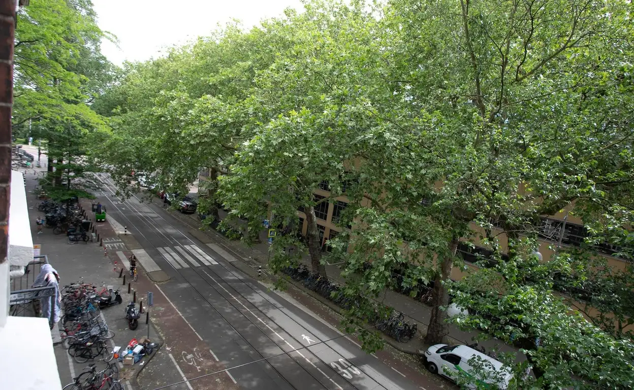 Foto #22 Appartement Roetersstraat Amsterdam