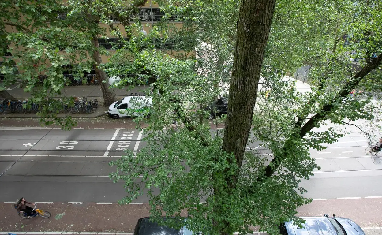 Foto #23 Appartement Roetersstraat Amsterdam
