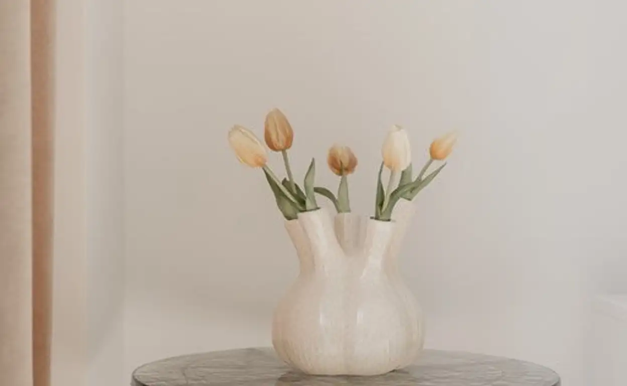 Foto #5 Appartement Derde Schinkelstraat Amsterdam