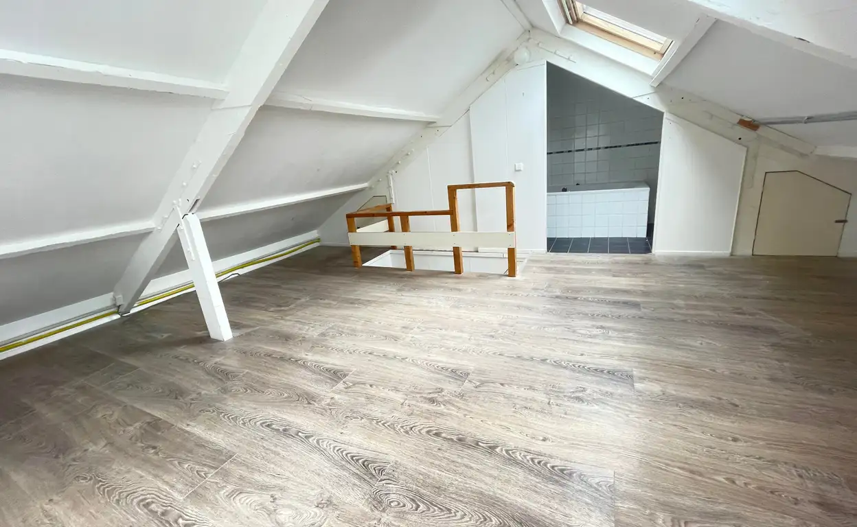Foto #9 Appartement Wilhelminapark Haarlem