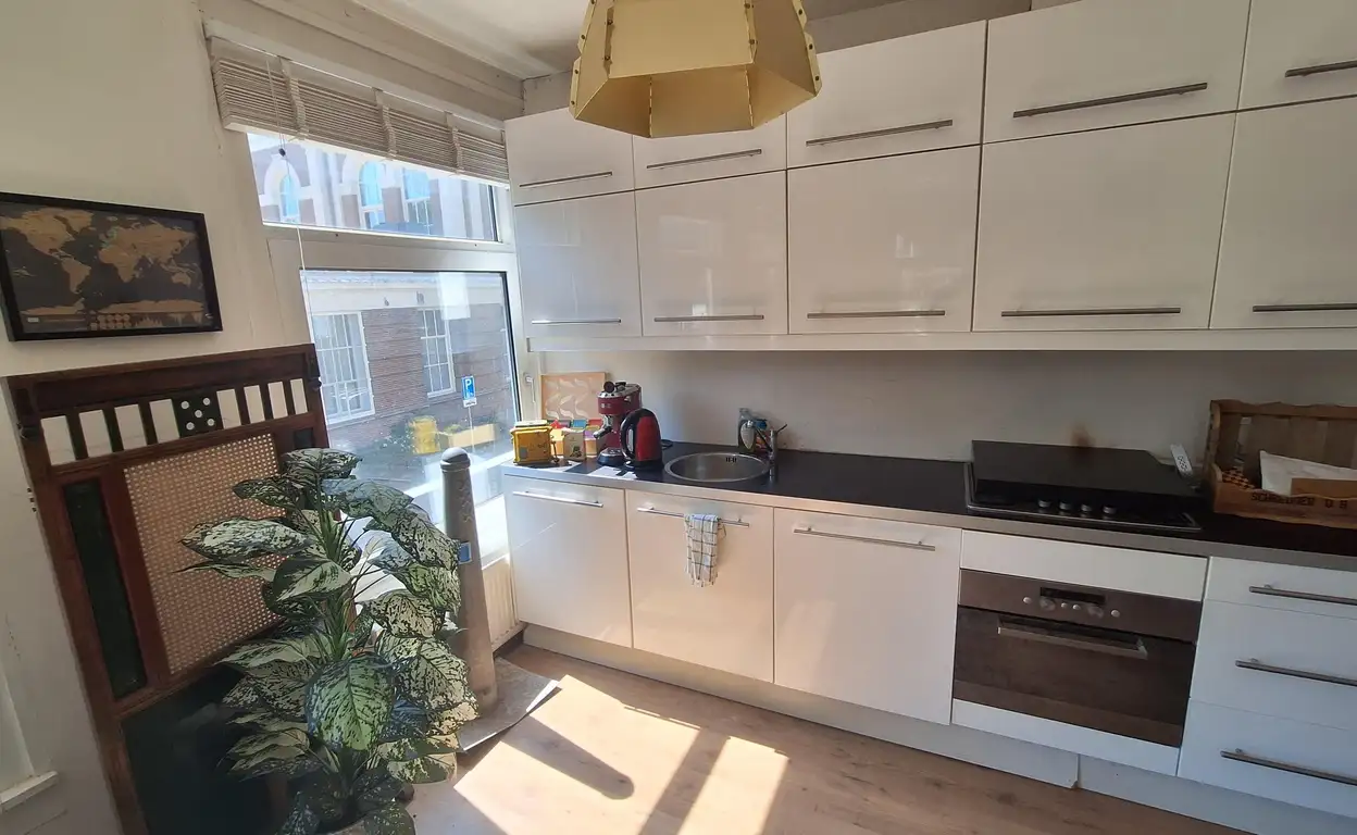Foto #13 Huurwoning Plantage Muidergracht Amsterdam