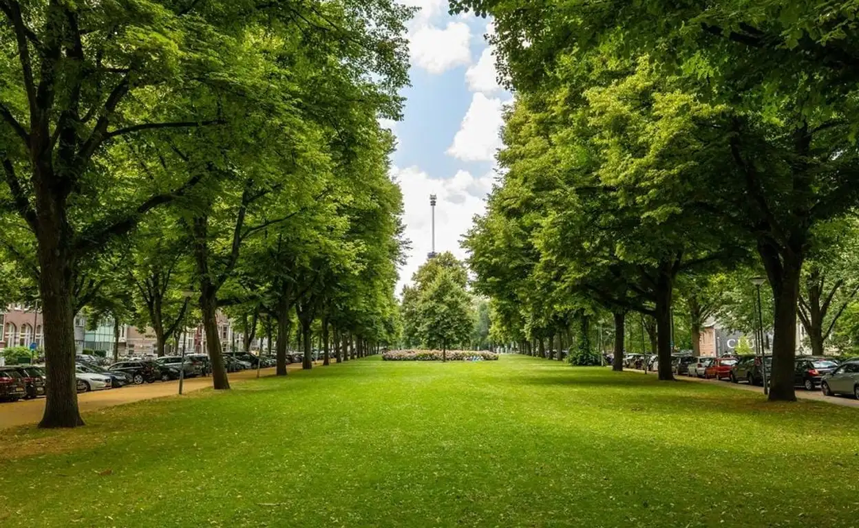 Foto #43 Appartement van Vollenhovenstraat Rotterdam