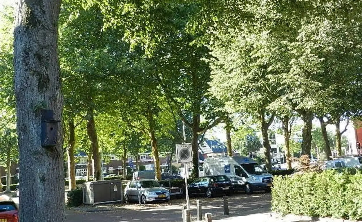 Foto #22 Huurwoning Drieherenlaan Heemstede