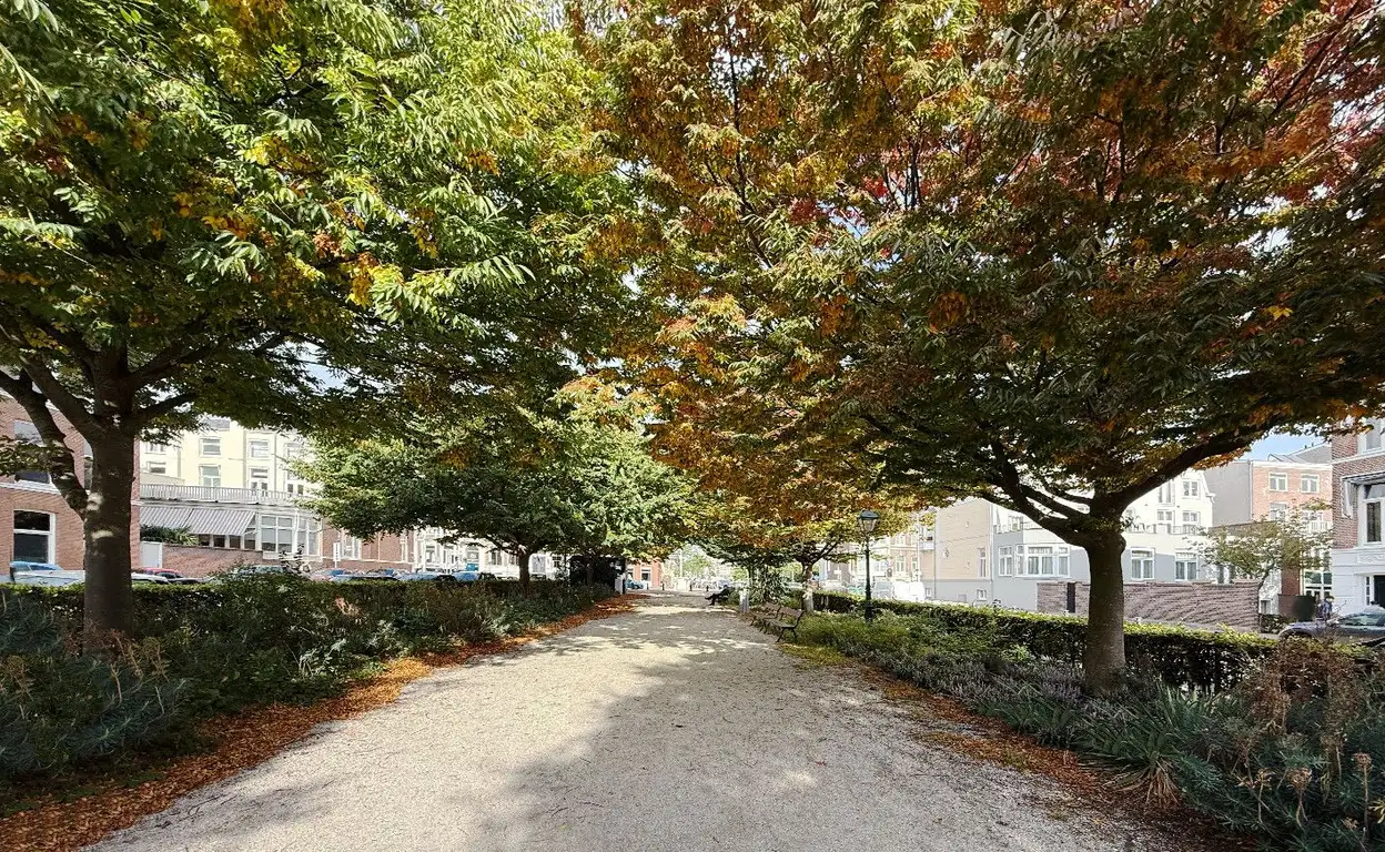 Foto #3 Appartement Nassauplein Den Haag
