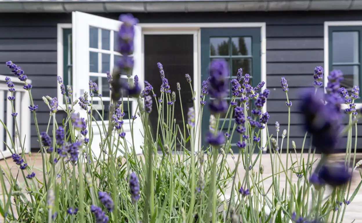 Foto #12 Appartement Overlekergouw Broek in Waterland