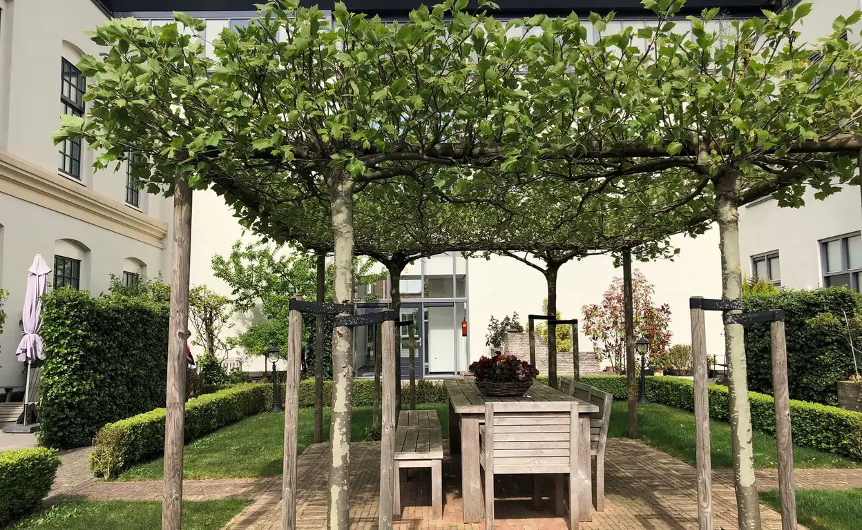 Foto #23 Appartement Clarissenstraat Brielle