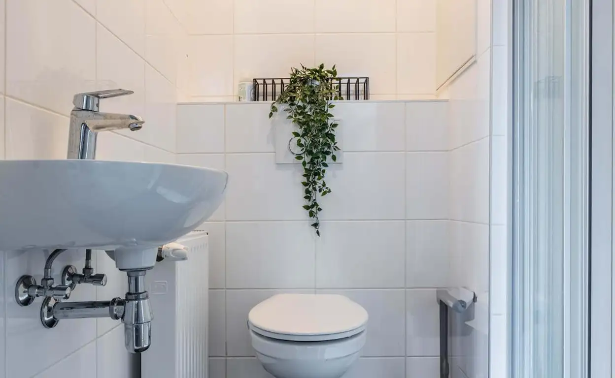 Foto #16 Appartement Vossegatselaan Utrecht