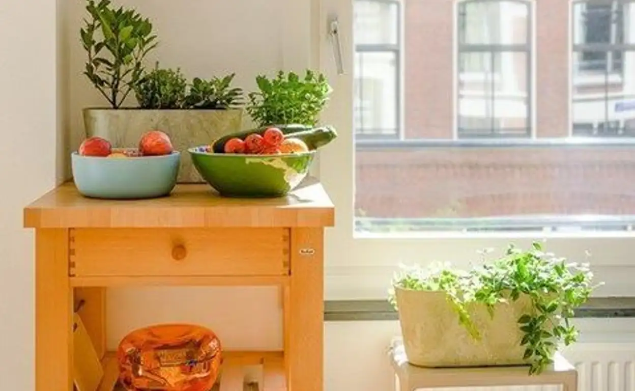 Foto #5 Appartement Eerste Boerhaavestraat Amsterdam
