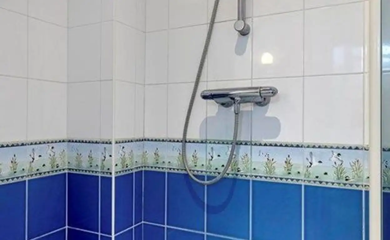 Foto #18 Huurwoning Willem-Alexanderstraat Aalsmeer