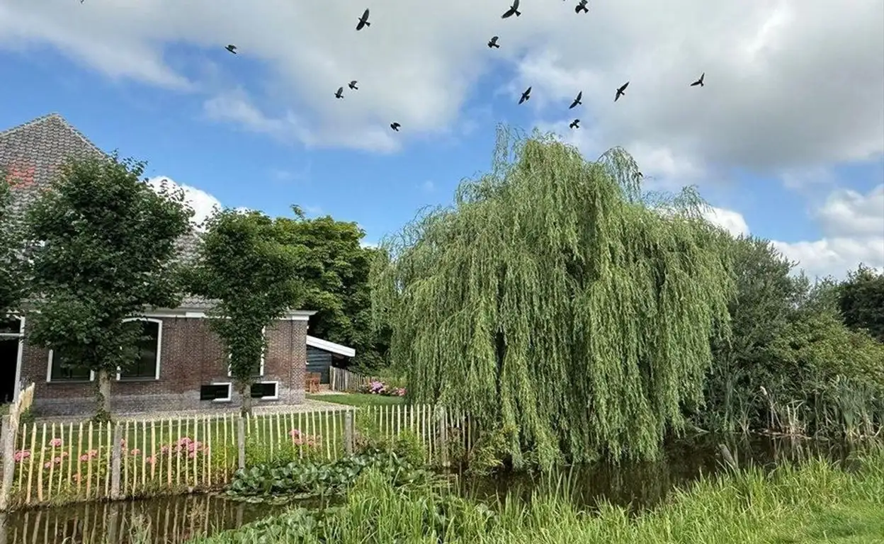 Foto #20 Huurwoning Ringdijk BP Amstelveen