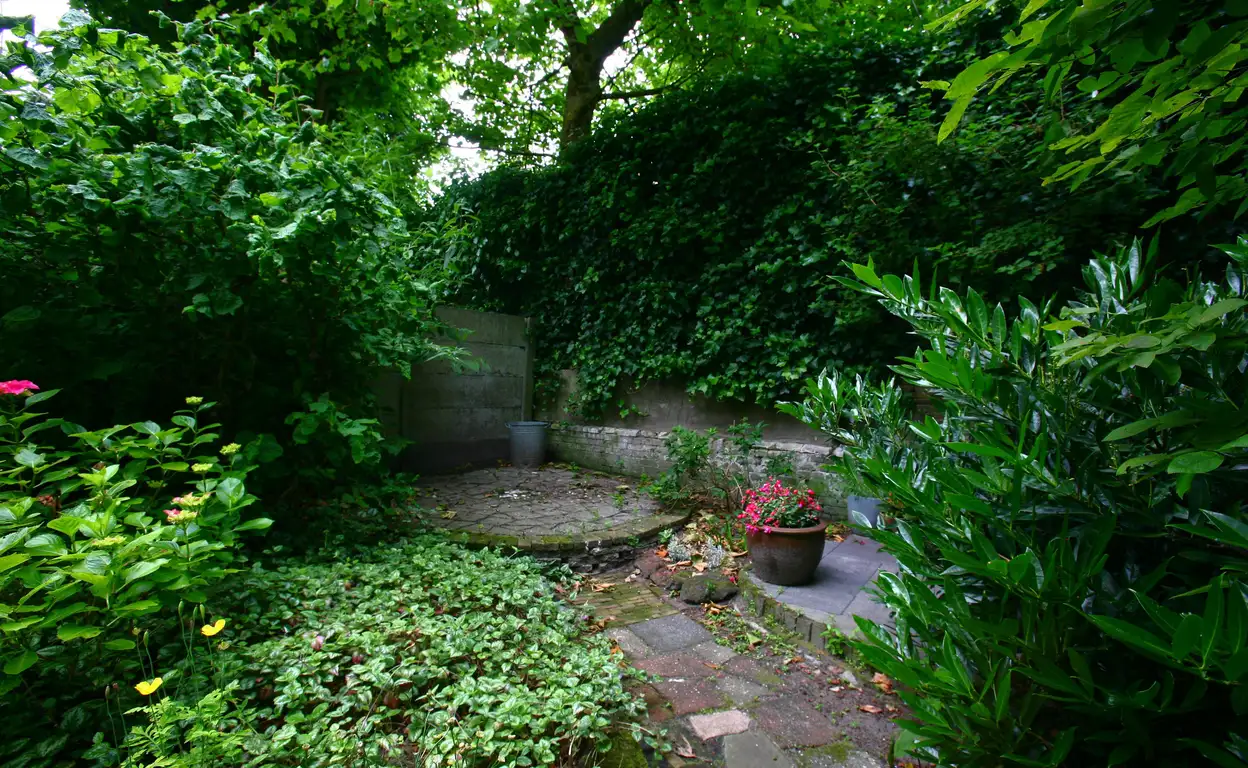 Foto #37 Huurwoning Obrechtstraat Den Haag